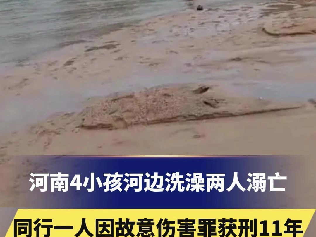 河南4小孩河边洗澡两人溺亡,同行一人因故意伤害罪获刑11年,判决书