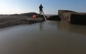 下载视频: 两个月没抽的水坑猛货齐聚，还摸到海洋毒物，吓得阿阳连忙甩飞