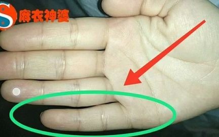 如何通过手相看与子女关系缘分?哔哩哔哩bilibili