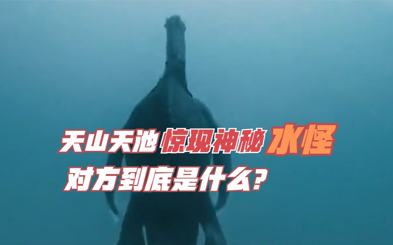 新疆天山天池惊现神秘“水怪”,至少15米长,对方到底是什么?哔哩哔哩bilibili