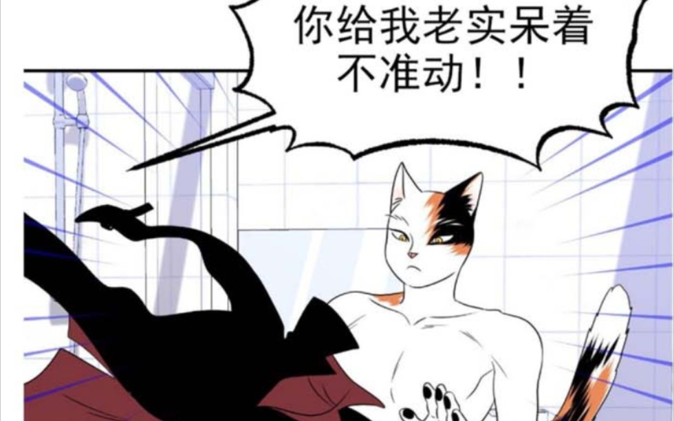 漫画《蓝色计划》《猫的ABO》哔哩哔哩bilibili