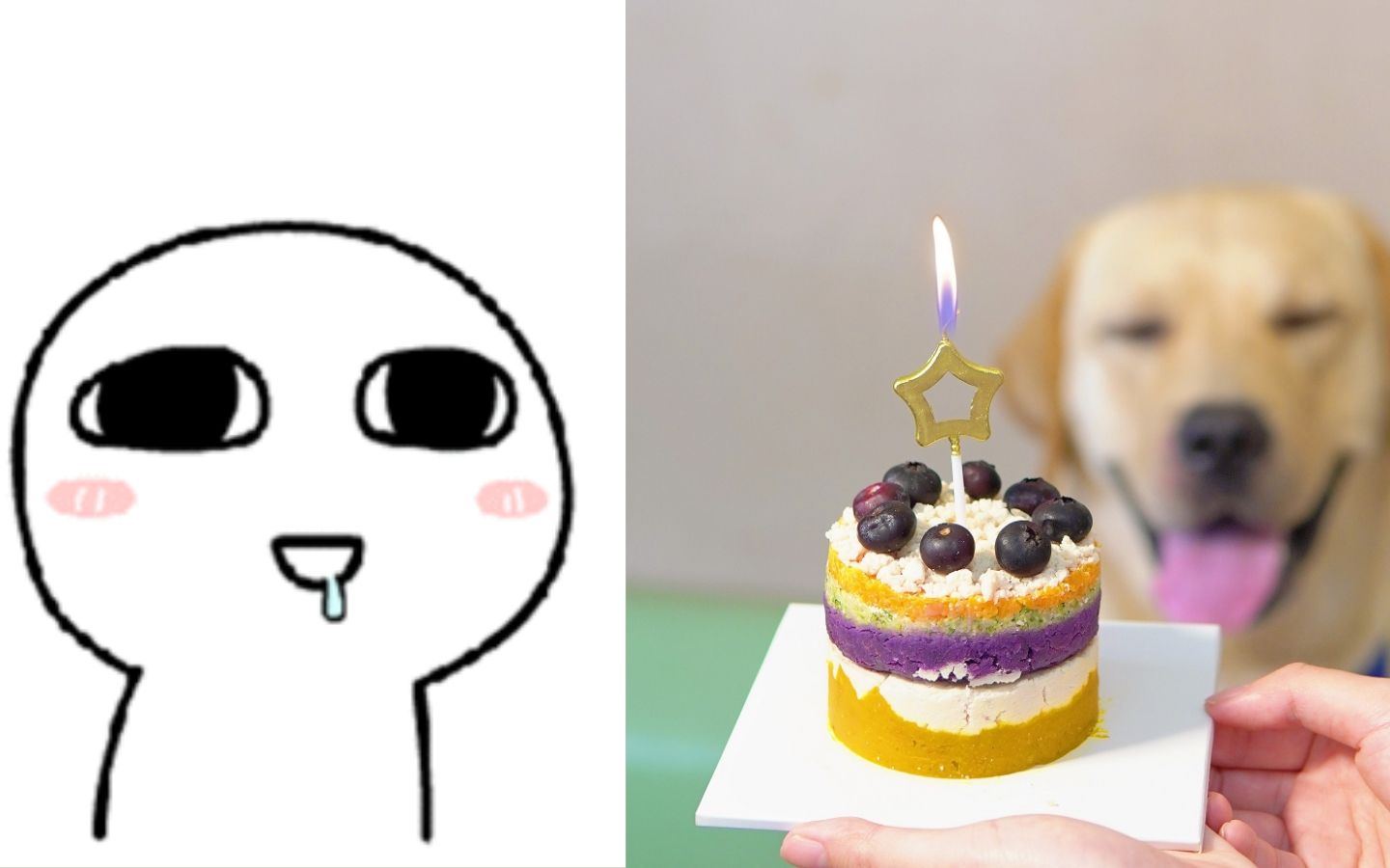 自制狗狗生日蛋糕!速收藏,给你家狗狗过个生日吧!哔哩哔哩bilibili