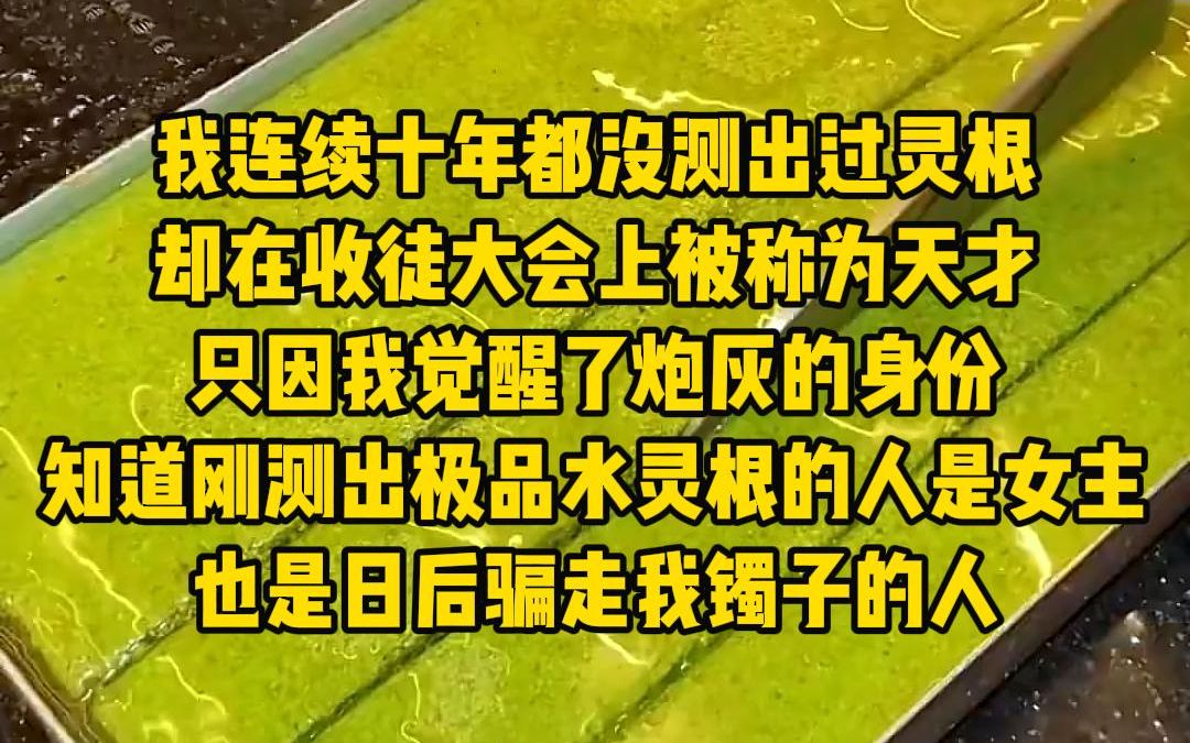 [图]《炮灰天才》我连续十年都没有测出过灵根，却在收徒大会上被称为天才，只因我觉醒了炮灰的身份