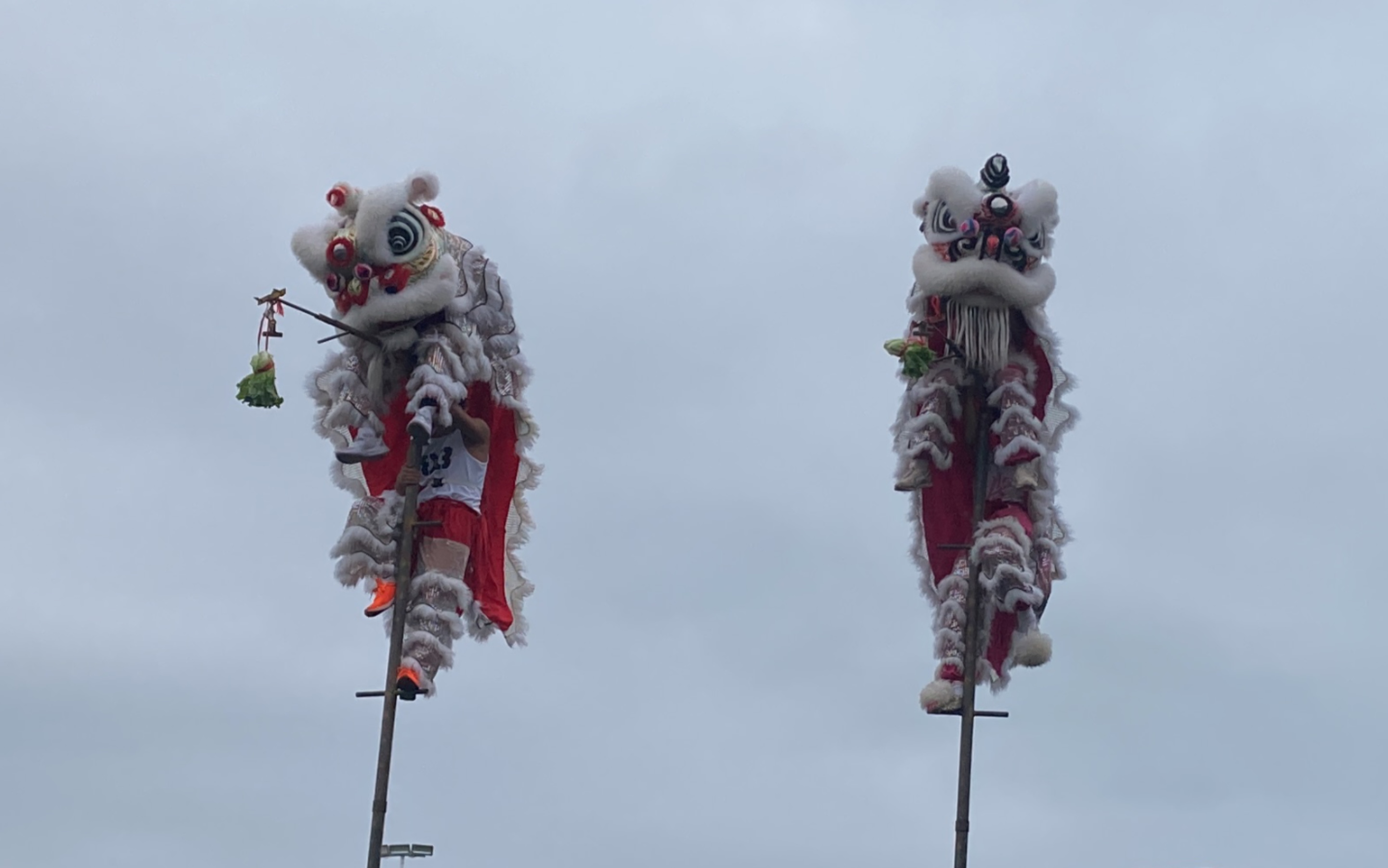 学生表演醒狮采青