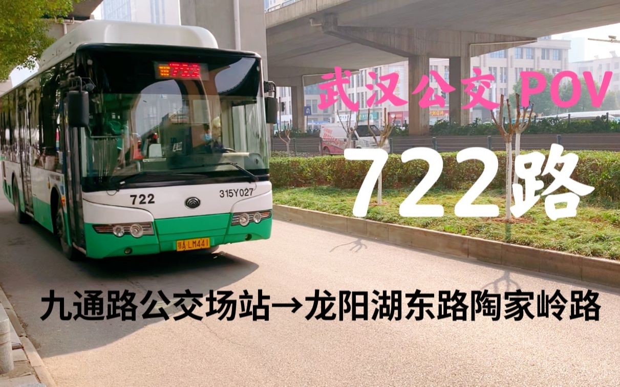 汉江两岸的早春武汉公交722路九通路公交场站龙阳湖东路陶家岭路全程