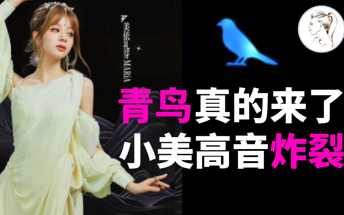 《归途有风》登顶第一《青鸟》响彻全场 美依礼芽变“美依礼炮” 音乐总监赵兆盛赞小美版《青鸟》哔哩哔哩bilibili