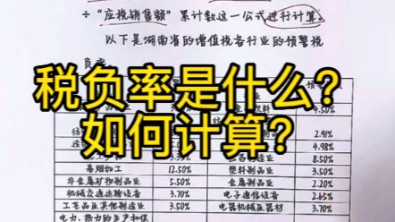 企业税负率预警了,到底什么是税负率?如何计算呢?哔哩哔哩bilibili