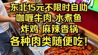 东北15元不限时不限量自助餐，咖喱牛肉 水煮鱼 炸鸡 各种肉类随便吃！