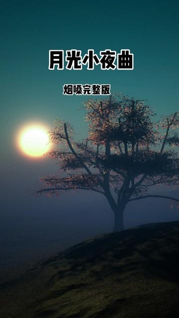 月光小夜曲
