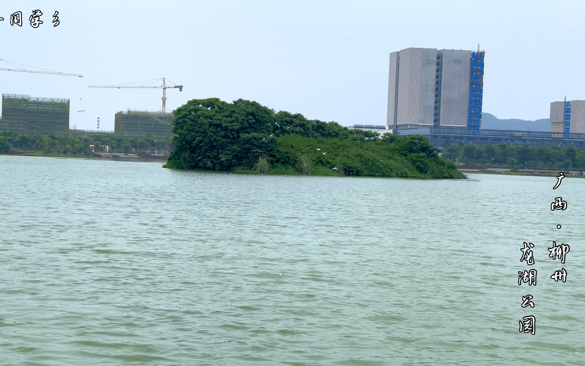 彡丸子同学彡,广西柳州龙湖公园,很多人不知道这里