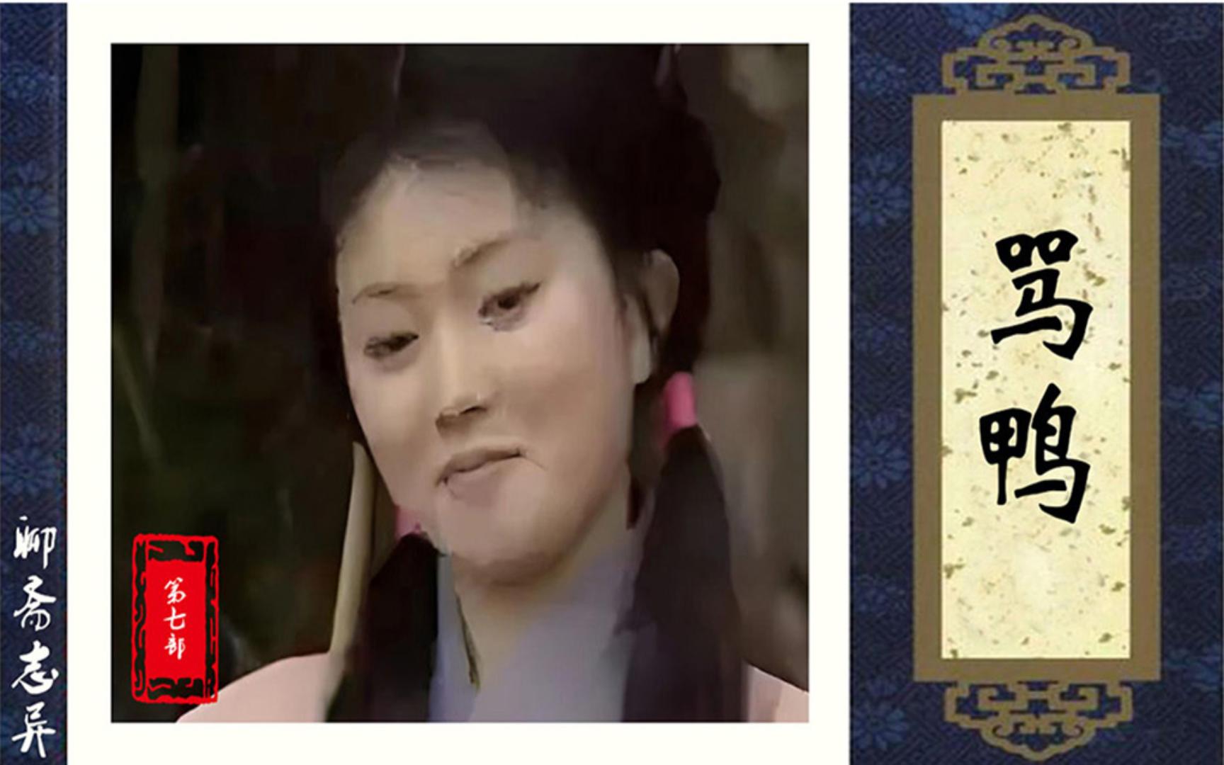 古文简述聊斋志异第七部骂鸭