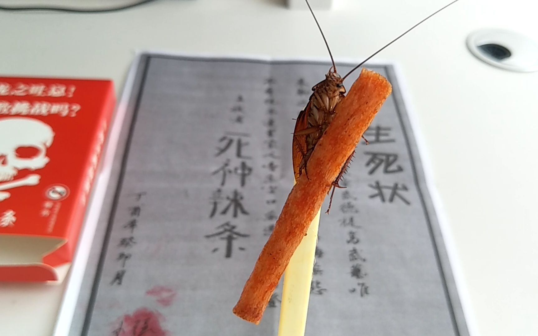 小强签下生死状挑战死神辣条这货居然抱着死神辣条吃得津津有味