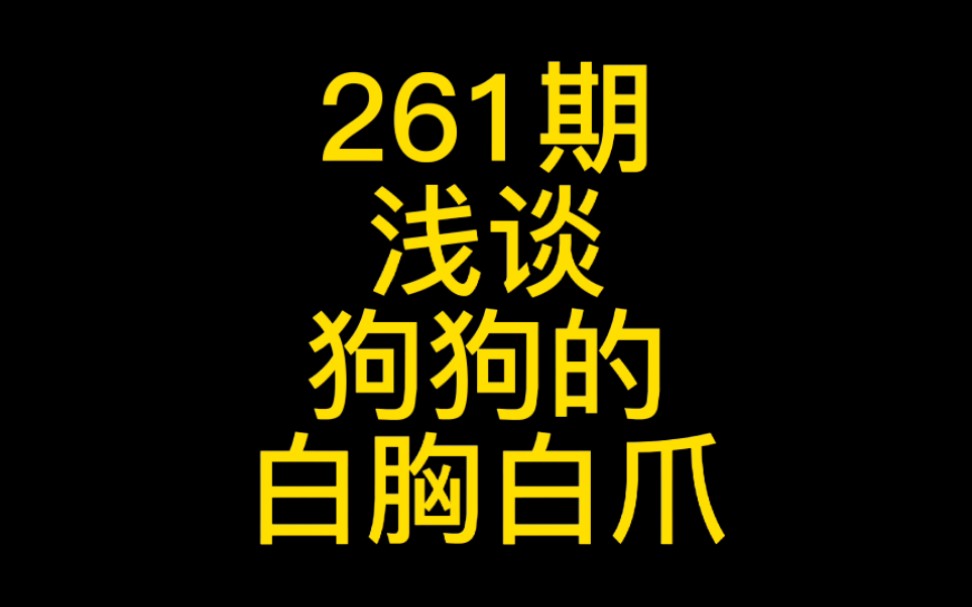 [图]261-浅谈狗的白胸白爪