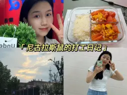 Download Video: 打工人日常上班Vlog92