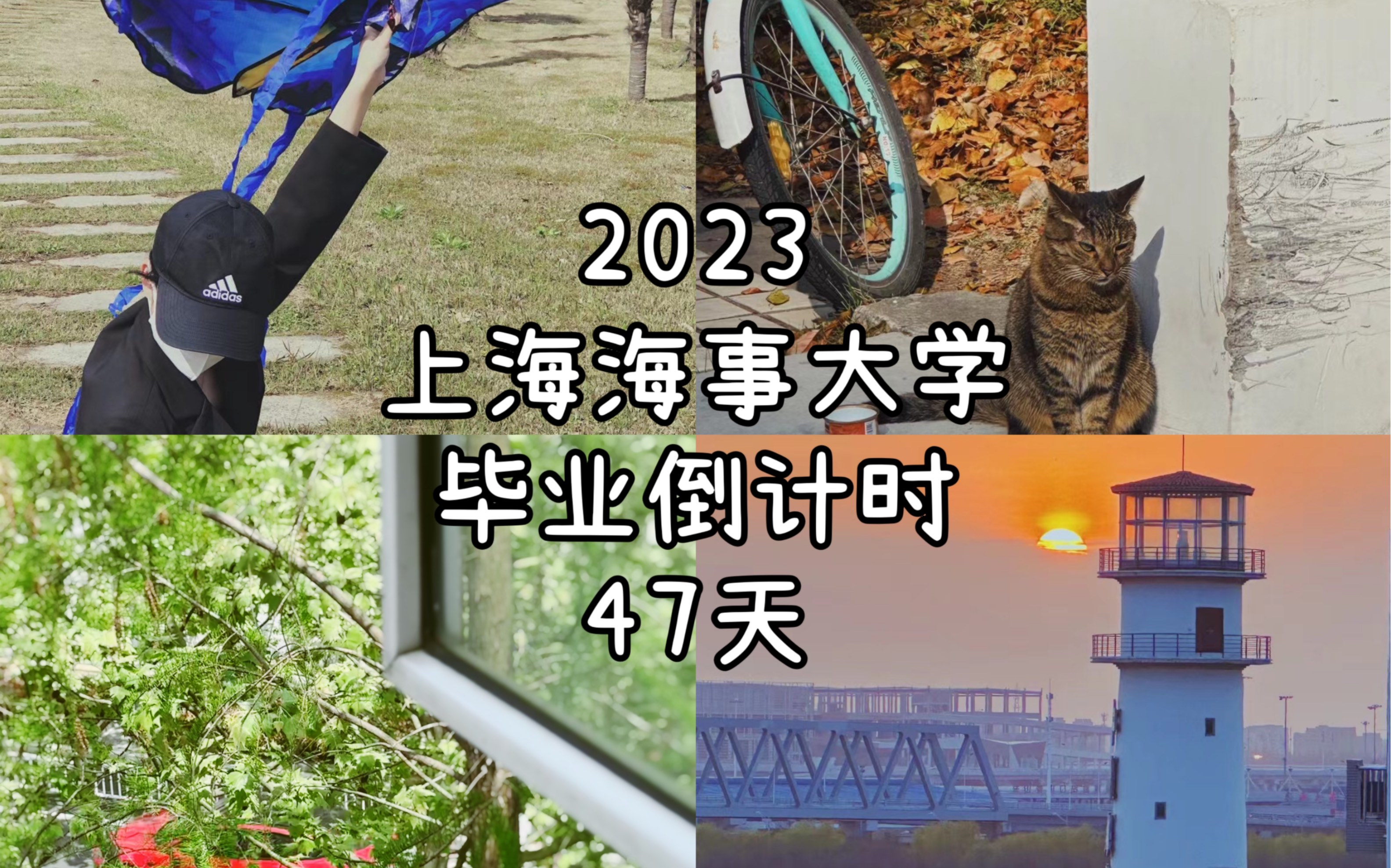 【毕业倒计时47天】上海海事大学|开始实习|参观世纪传奇邮轮|短暂的回校惬意生活哔哩哔哩bilibili