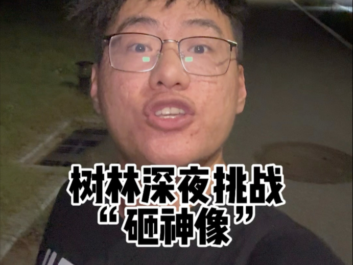张树林砸“神像”到底会发生什么呢?-张树林--张树林--哔哩哔哩视频