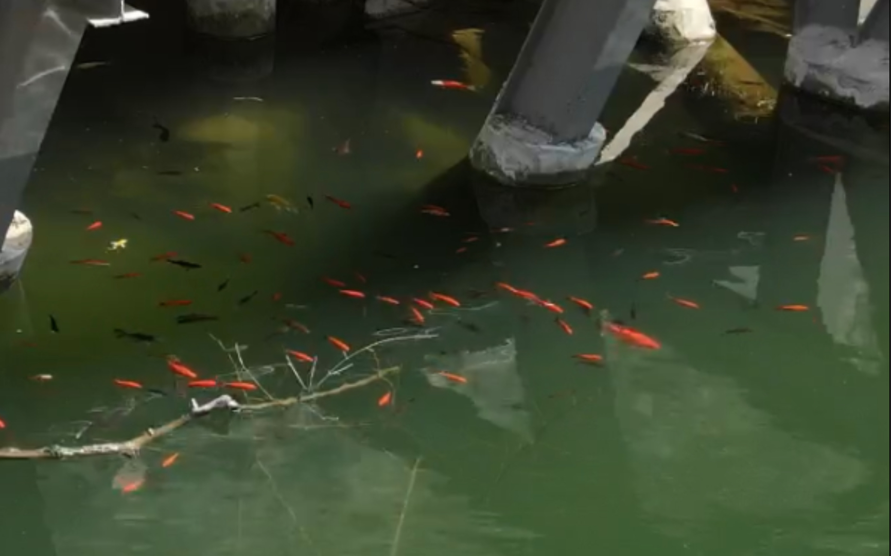 高清 泰安玉泉寺景点航拍,一个适合静下心来慢慢欣赏的地方哔哩哔哩bilibili