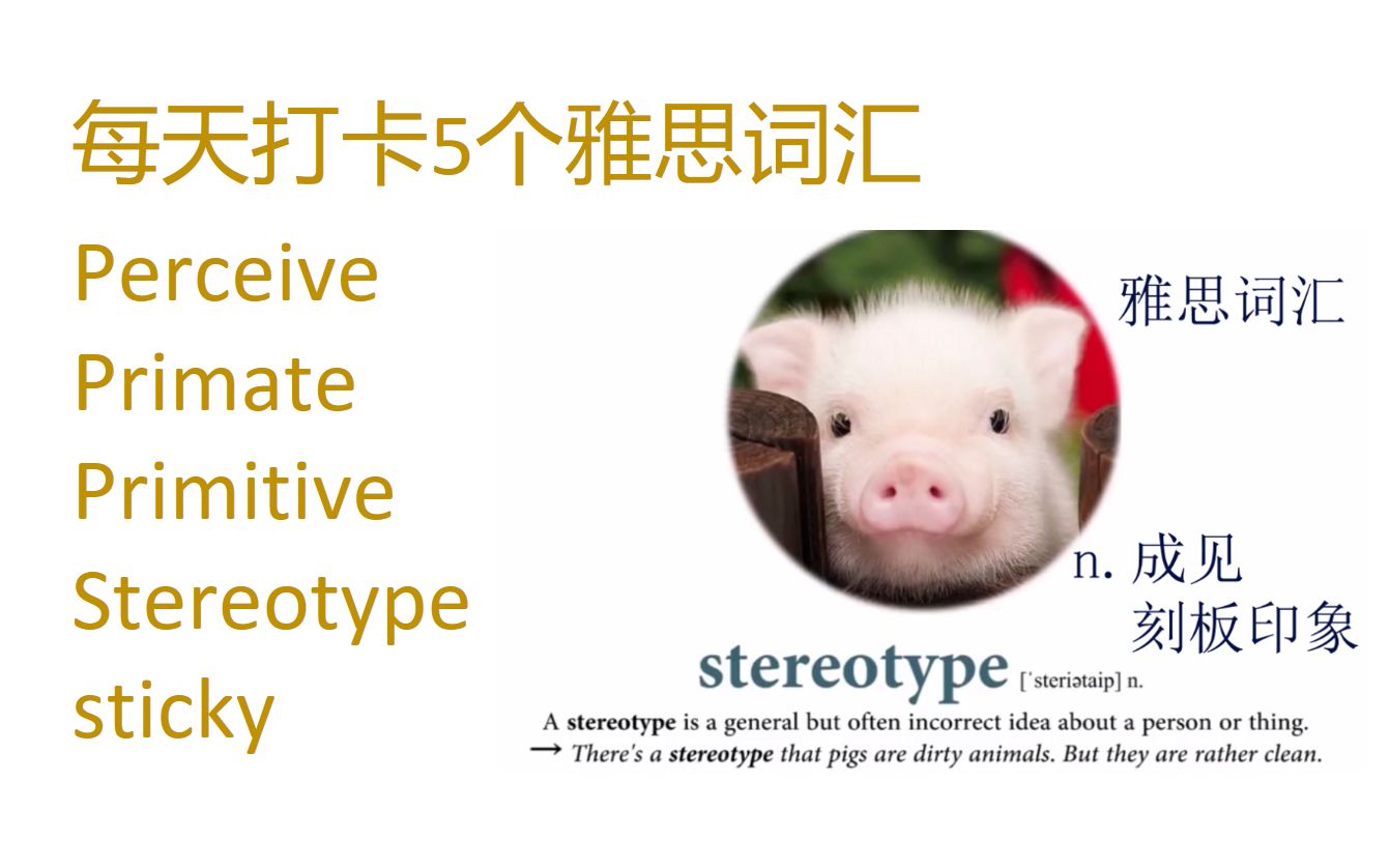 每天打卡5个雅思词汇 perceive, primate, primitive, stereotype, sticky哔哩哔哩bilibili