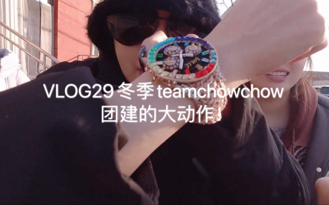 【恺恺子's Vlog】VLOG29冬季teamchowchow团建的大动作!ft.周扬青 大雁 Alex 猫猫哔哩哔哩bilibili