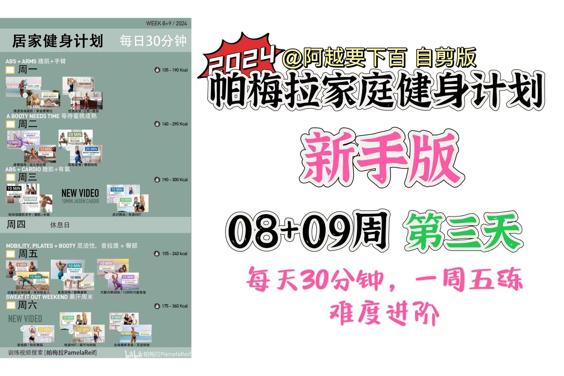 【自剪版】帕梅拉新手版08 09周第三天|腹肌有氧日|每天30分钟|一周五