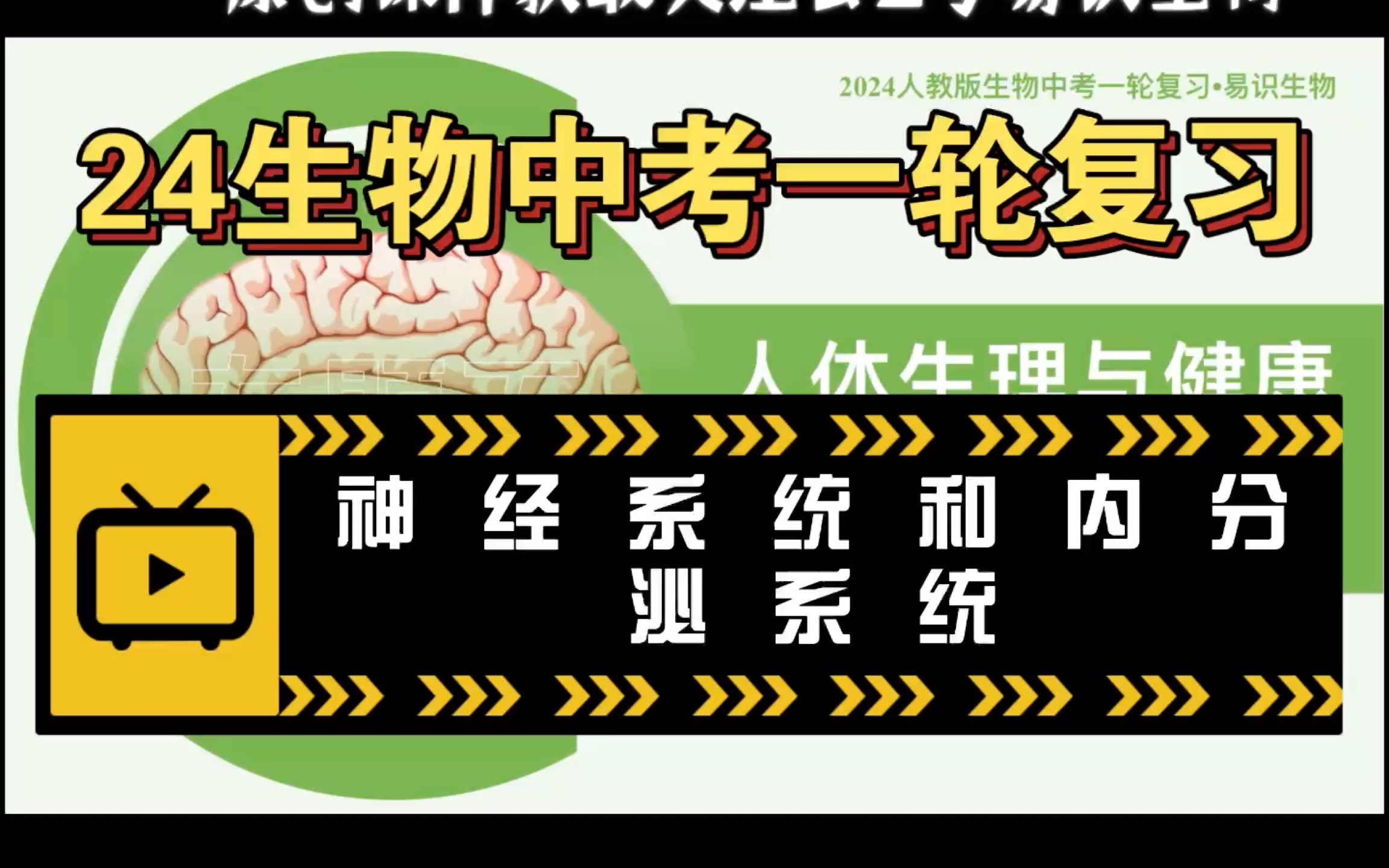 易识生物|2024人教版生物会考|一轮复习|专题五 人体生理与健康 第五节 人体生命活动的调节哔哩哔哩bilibili