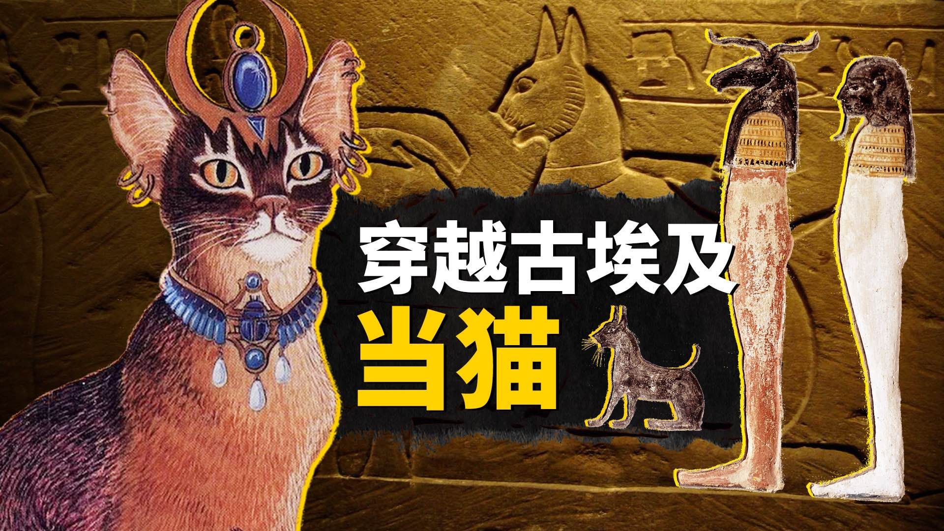 [图]猫是古埃及掌管人类的神？是埃及神话里神明的化身吗？不管不管，我要把法老桌上的东西都扒拉到地下去！【叮叮猫不咬人】