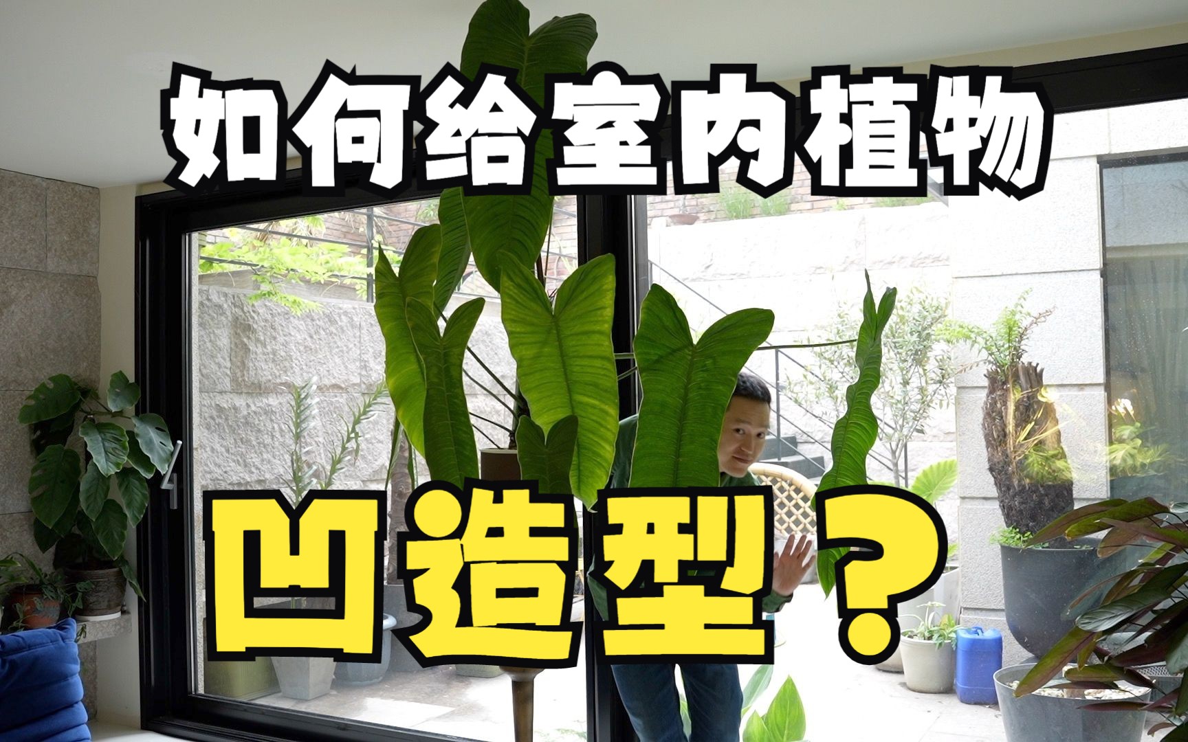 如何给植物凹造型?哔哩哔哩bilibili