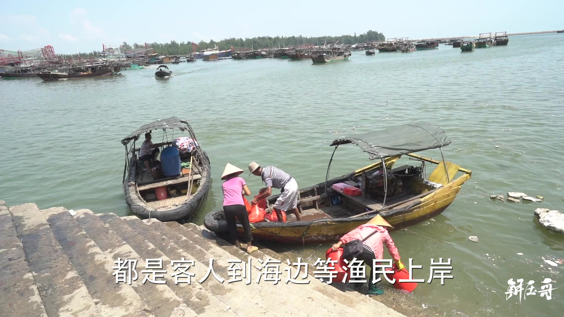 阿婆告诉你防城港企沙渔村,海鲜什么时间上岸最便宜!哔哩哔哩bilibili