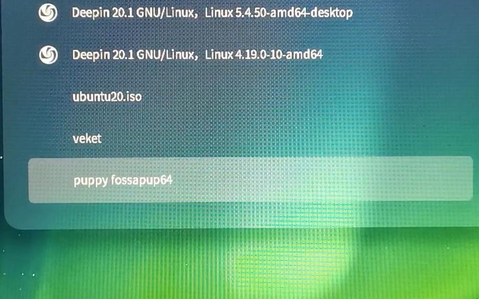 deepin v20.1 linux使用grub直接引导puppy linux fossapup9.5系统文件哔哩哔哩bilibili