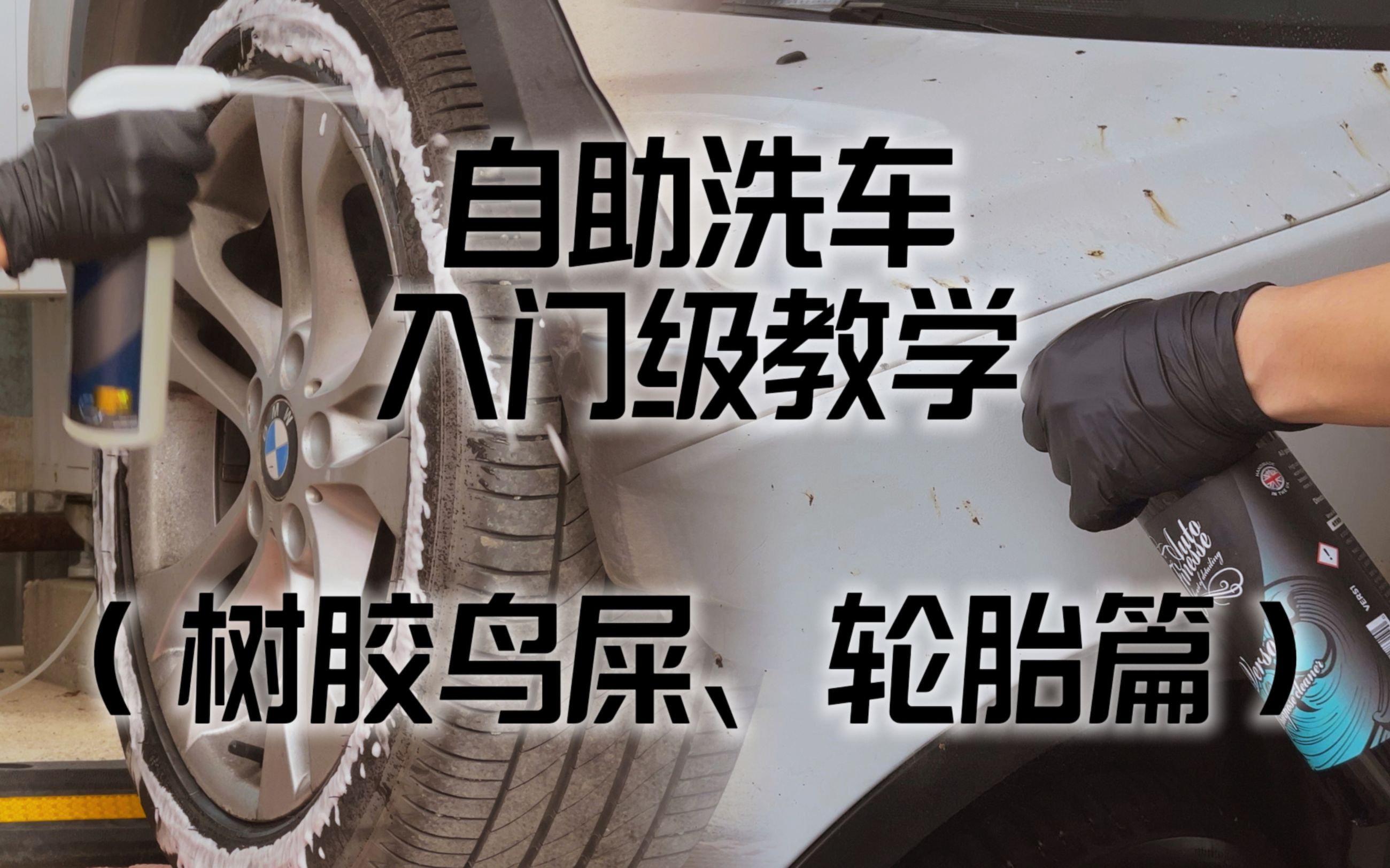 自助洗车入门级教学,如何清理停在树下的树胶鸟屎,以及轮胎面的清洁该怎么操作哔哩哔哩bilibili