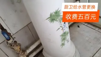 下载视频: 家里十多年的给水管更换得花多少钱？参照我的收费:五百左右