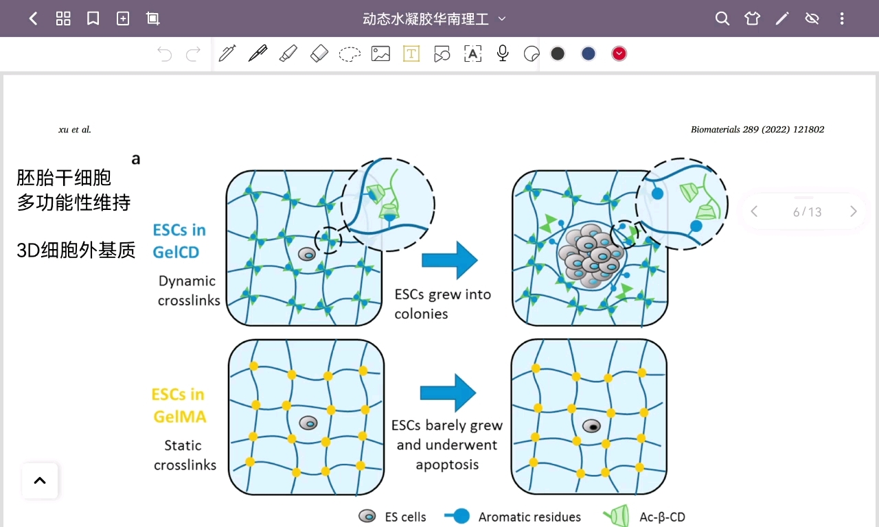 超分子化学文献分享水凝胶(2022.09.1909.25)哔哩哔哩bilibili