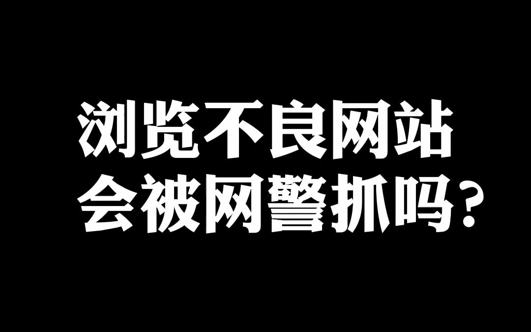 浏览黄色网站会被网警抓吗?本视频提供网络安全课程资料(网络安全黑客技术渗透测试)哔哩哔哩bilibili