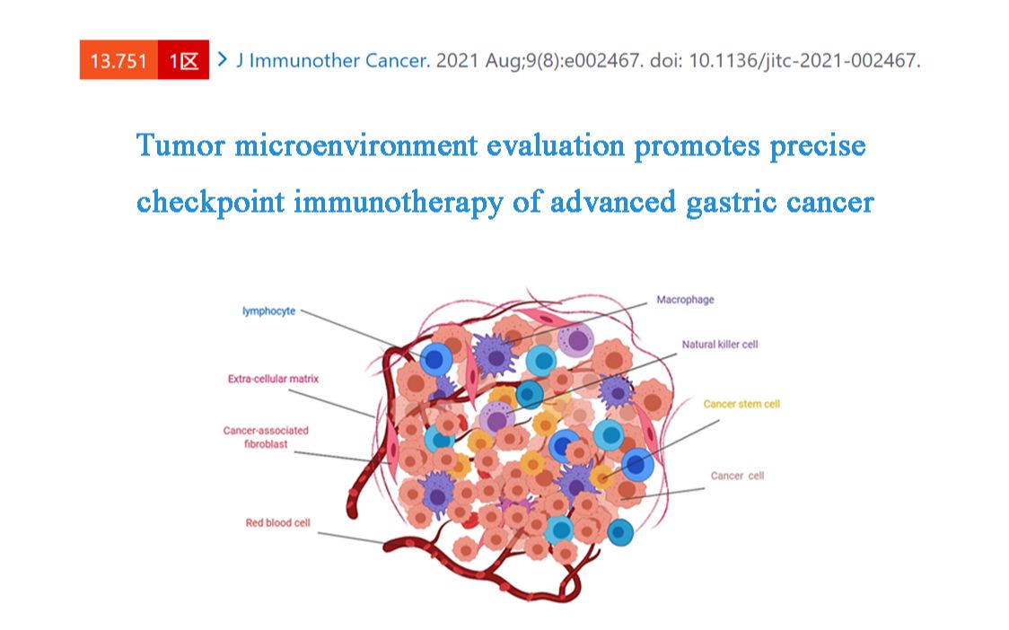 肿瘤微环境评分促进进展期胃癌的精确免疫治疗哔哩哔哩bilibili