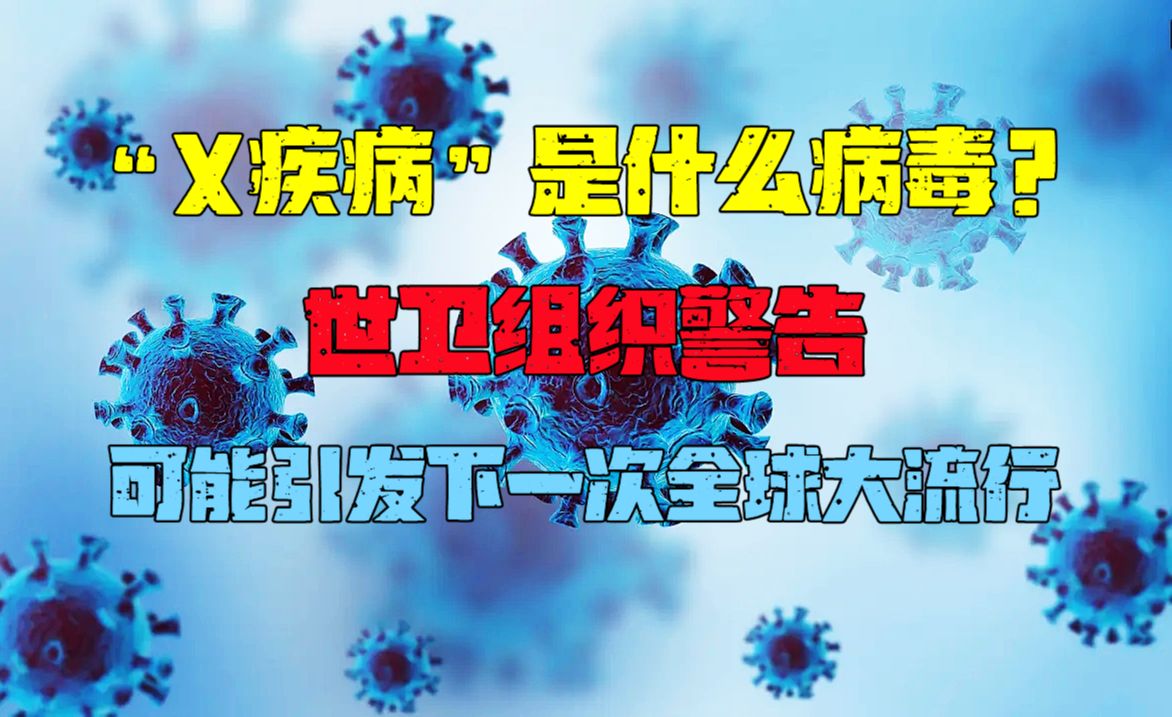 “X病毒”是什么病毒?世卫组织警告:可能引发下一次全球大流行哔哩哔哩bilibili