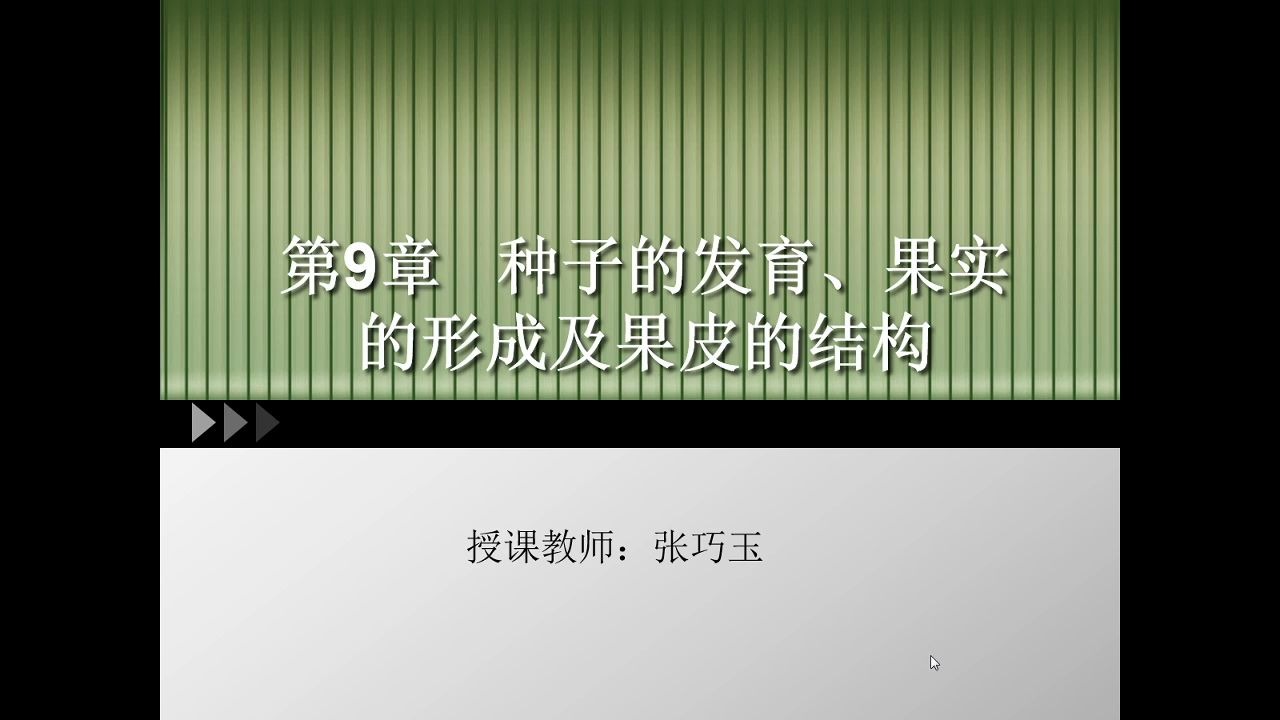 第九章 种子和果实哔哩哔哩bilibili