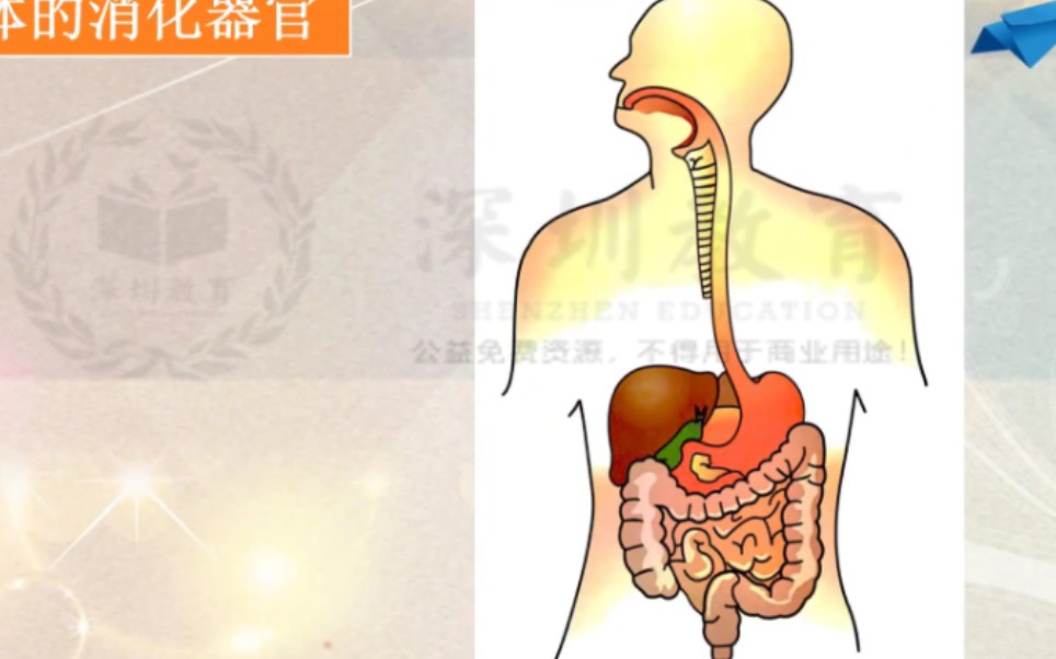 [图]小学科学《食物在身体里的旅行》微课 公开课【新课标 优质课】