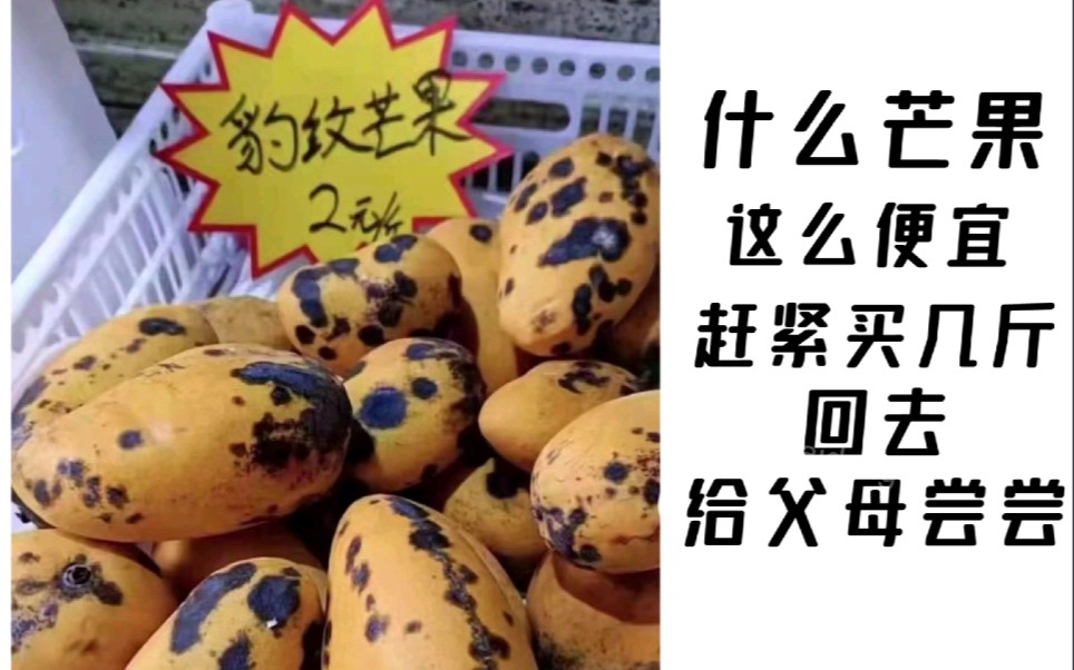 活动  搞笑:什么芒果这么便宜,赶紧买几斤给父母尝尝