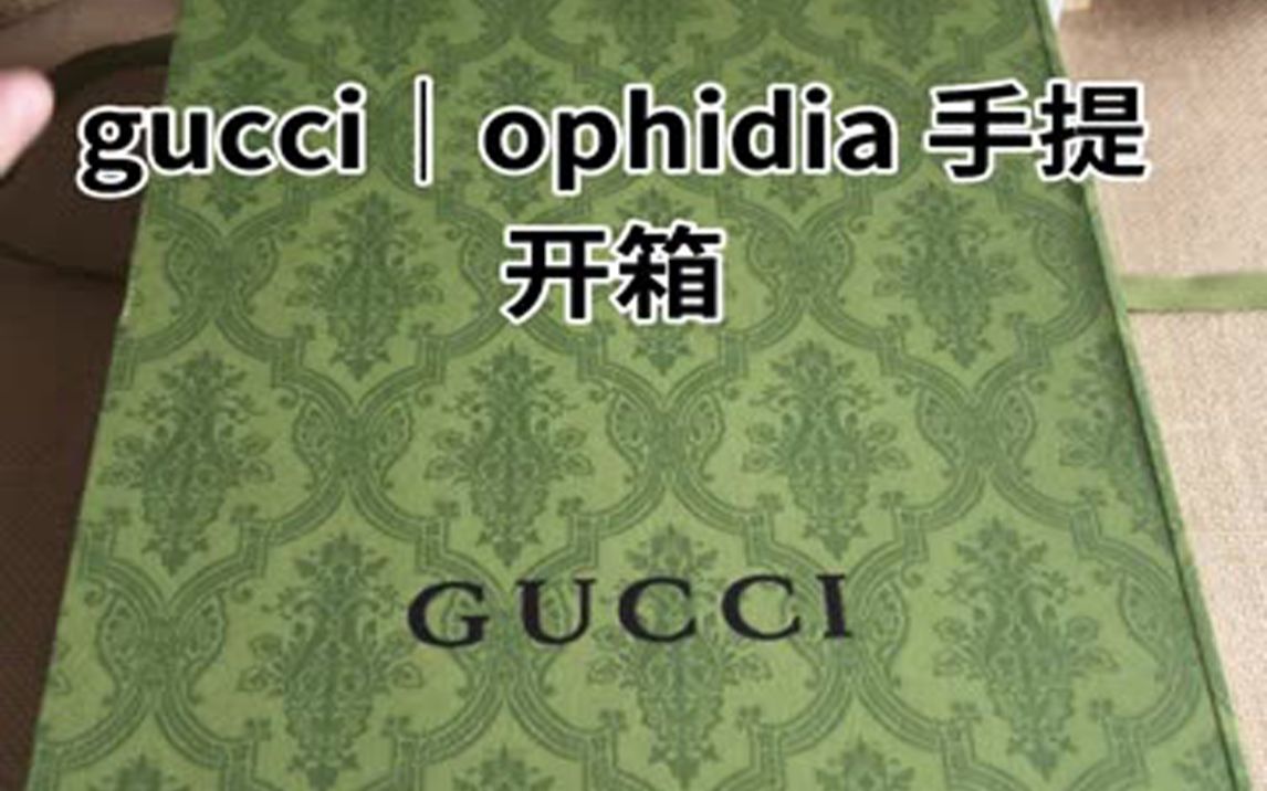 gucci | ophidia 手提,复古 时髦 通勤的style 超模何穗同款~哔哩哔哩bilibili