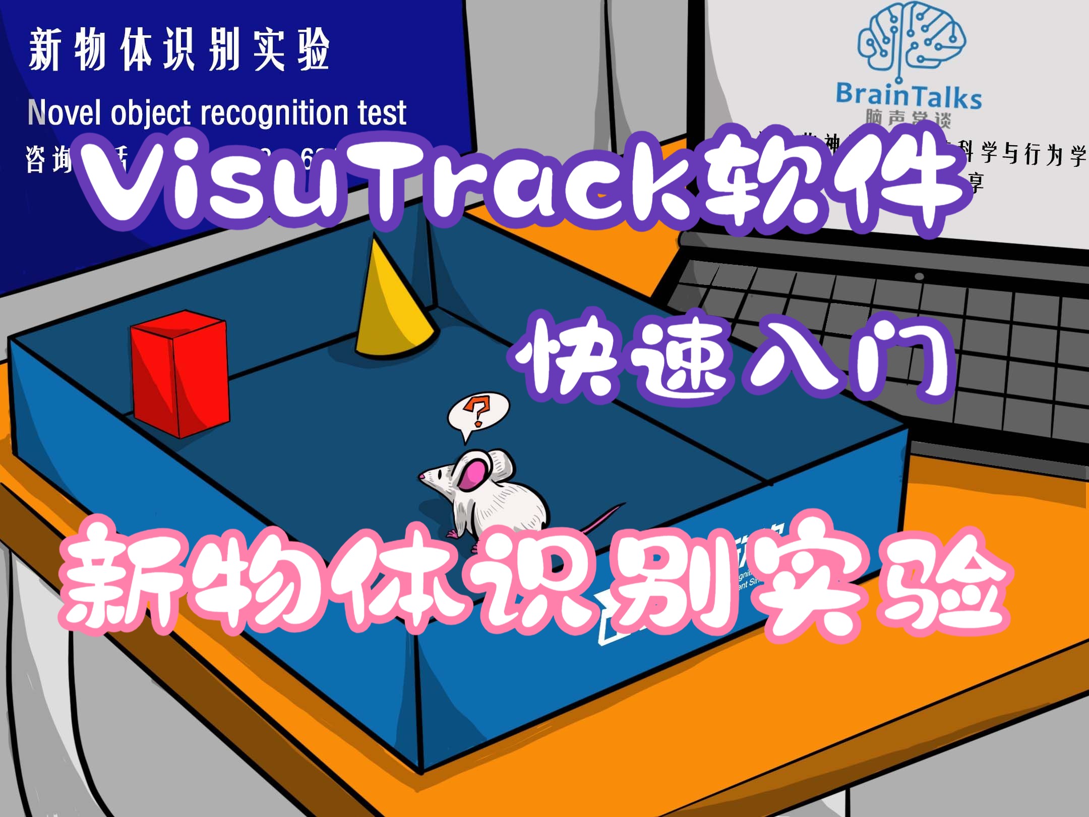 VisuTrack软件快速入门:小鼠新物体识别实验哔哩哔哩bilibili