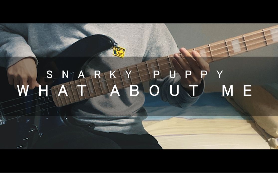 【贝斯cover】snarky puppy - what about me?(short.ver)