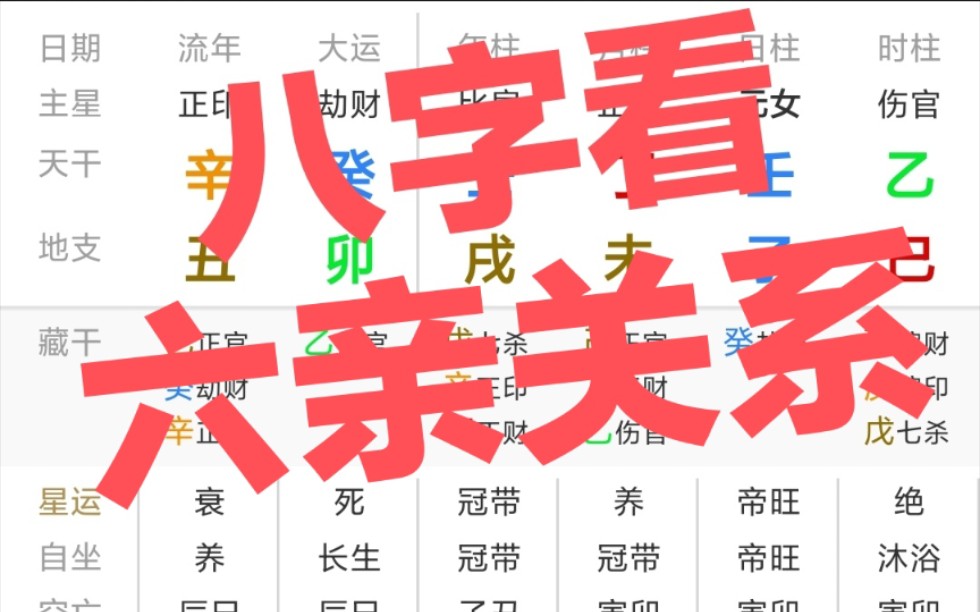 八字看,六亲关系哔哩哔哩bilibili