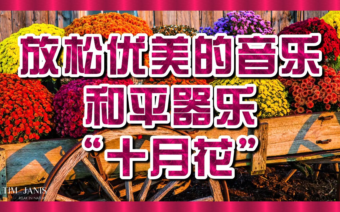 [图]???放松优美的音乐?️和平器乐“十月花”音乐融合了自然的轻松声音，并演奏长笛音乐，钢琴音乐，竖琴音乐和小提琴音乐