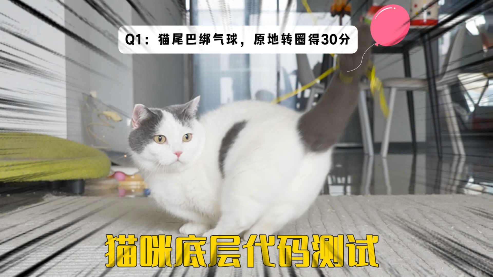 5只猫底层代码测试,完了!猫卡bug了!-萌猫宝哥哥-萌猫宝哥哥-哔哩哔哩视频
