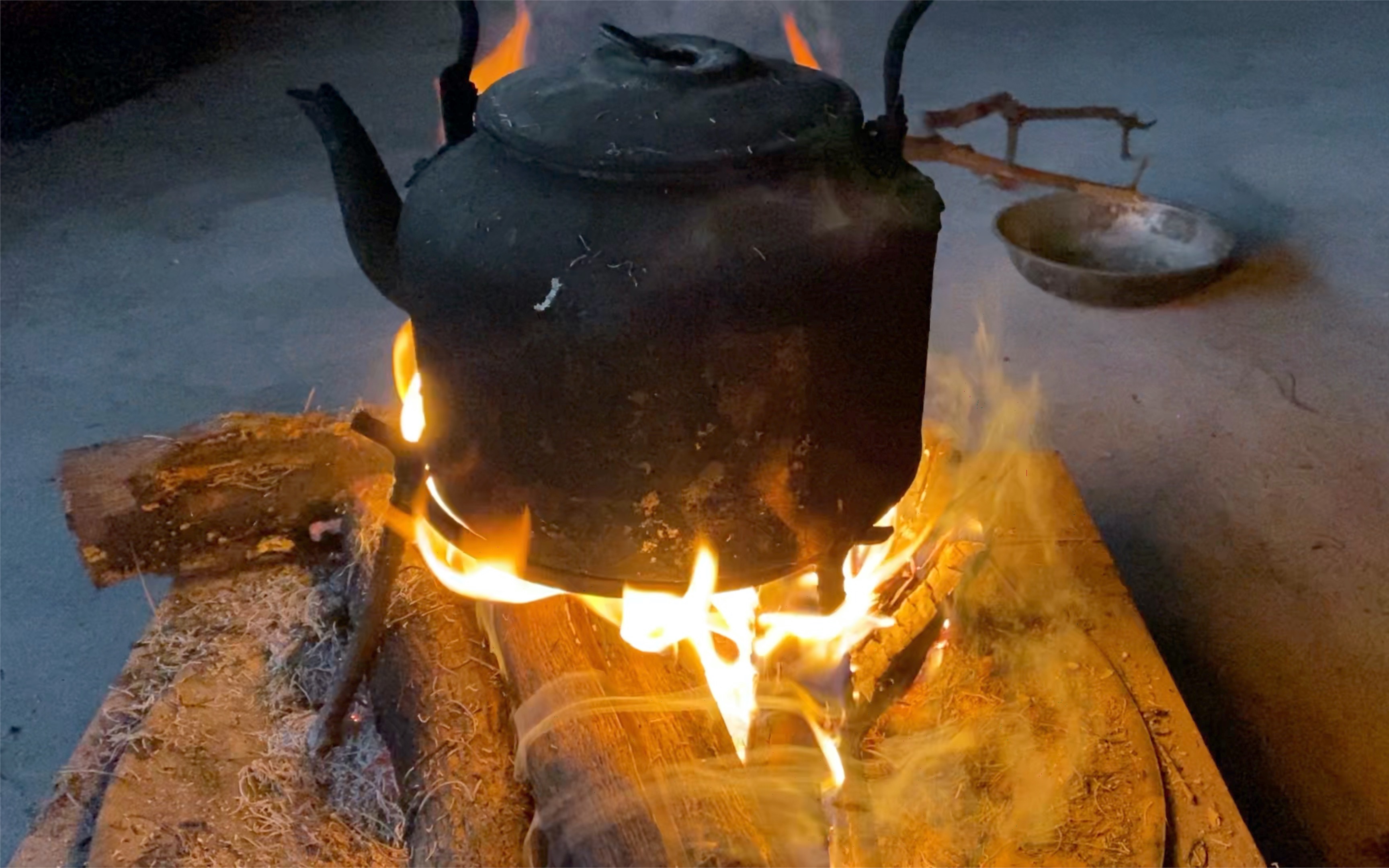 活动作品冬天里的一盆火