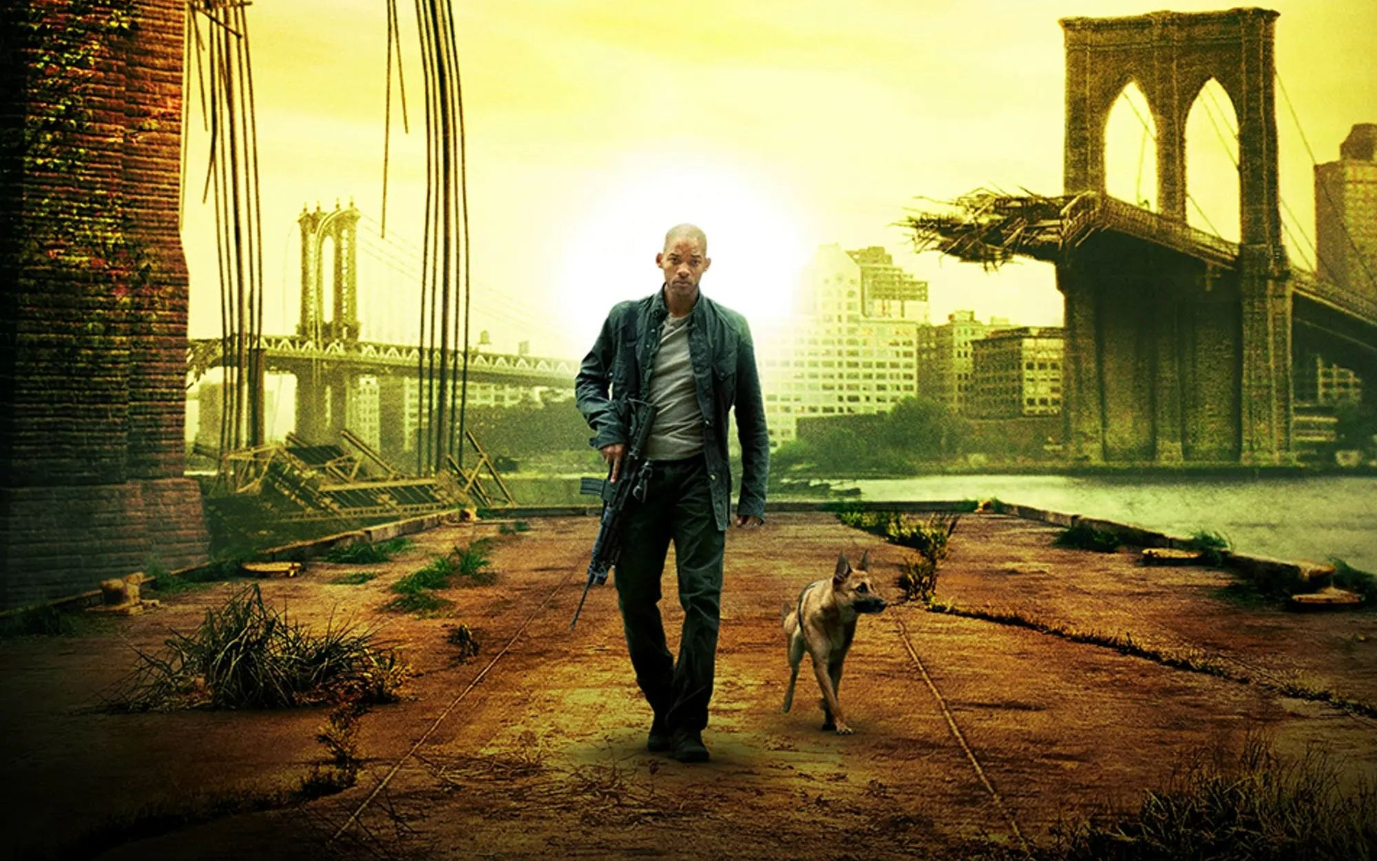 开局一条狗装备全靠捡一人一狗在末日的纽约街头闯荡