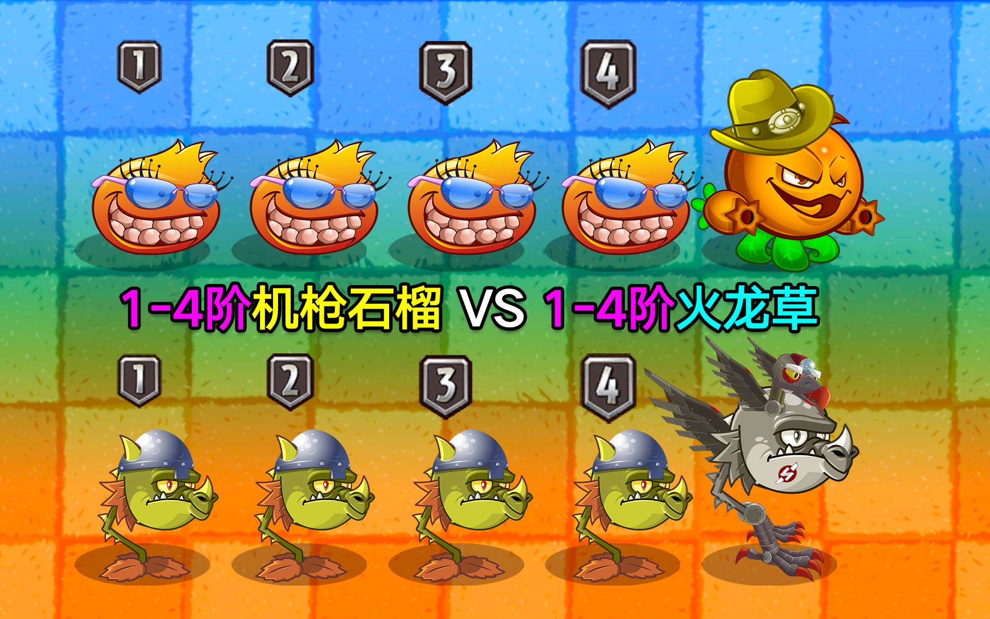 1-4阶机枪石榴vs1-4阶火龙草!五废要逆天?
