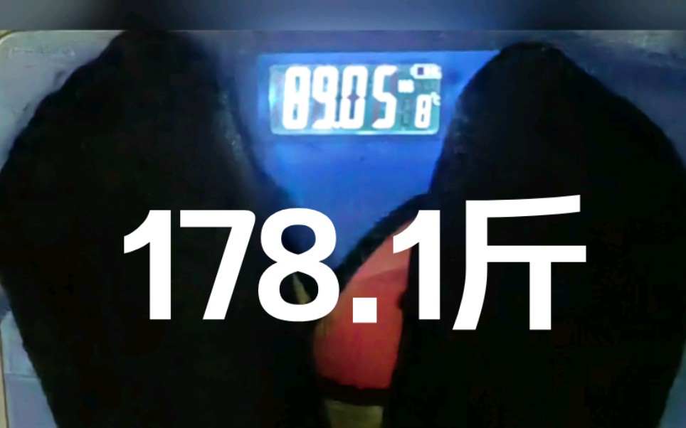 失恋废猪减肥第113天,178.