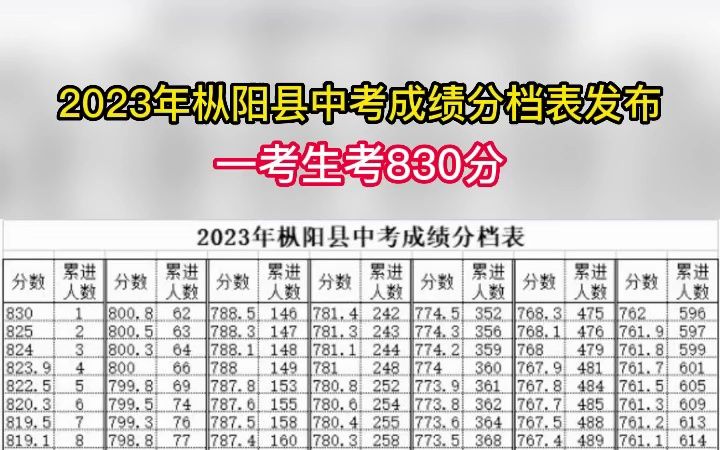 2023年枞阳县中考成绩分档表发布,一考生考取830分哔哩哔哩bilibili