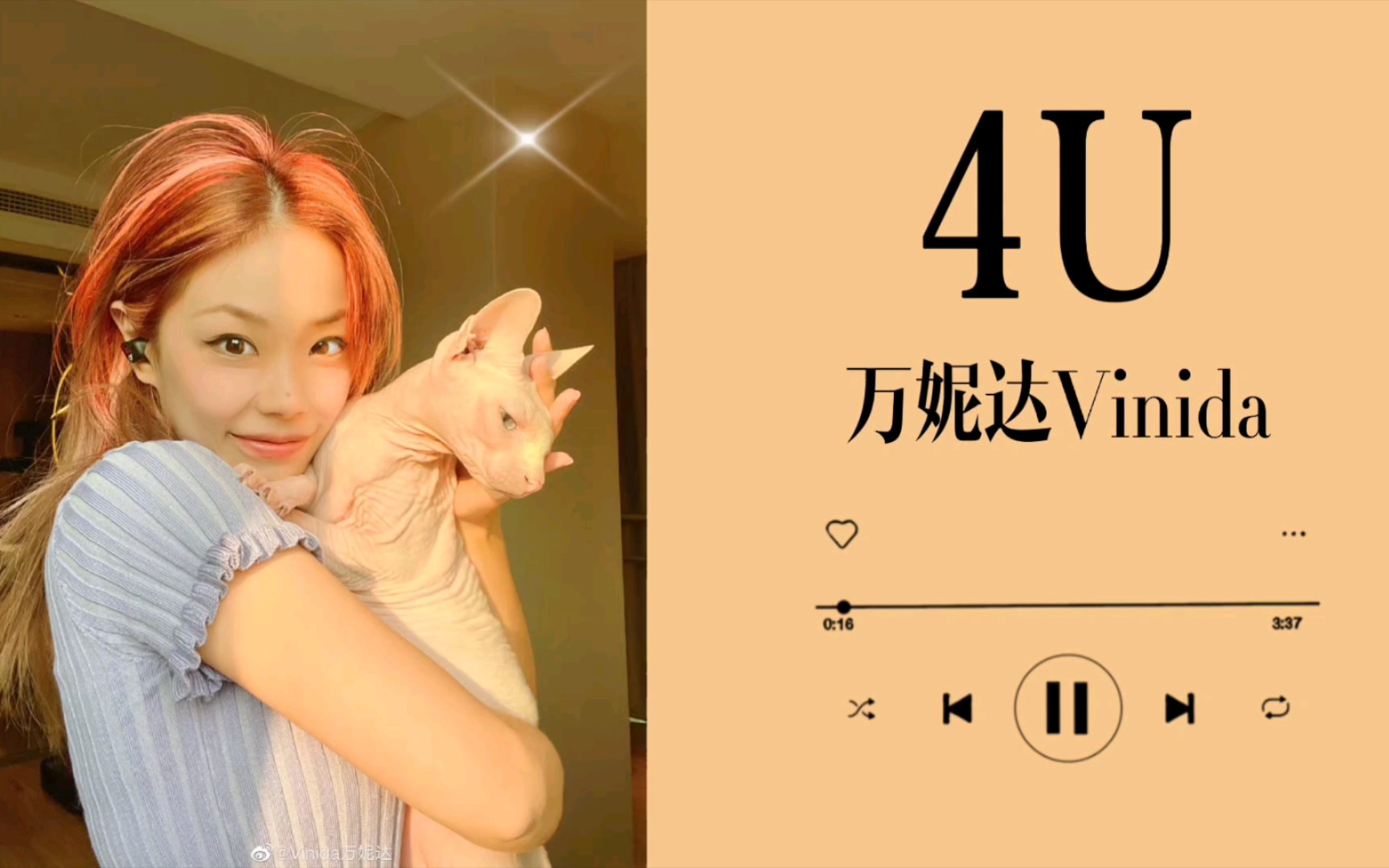 【日推歌单】好喜欢万妮达,甜辣酷帅拽呜呜呜呜.